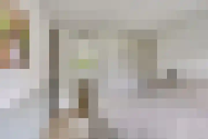 Leerinkbeek 61 Zwolle thumbnail 18