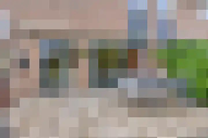 Leerinkbeek 61 Zwolle thumbnail 27
