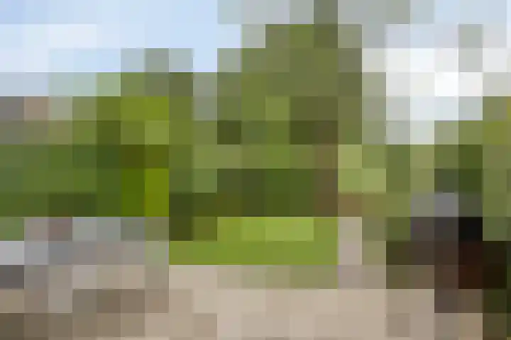 Leerinkbeek 61 Zwolle thumbnail 28