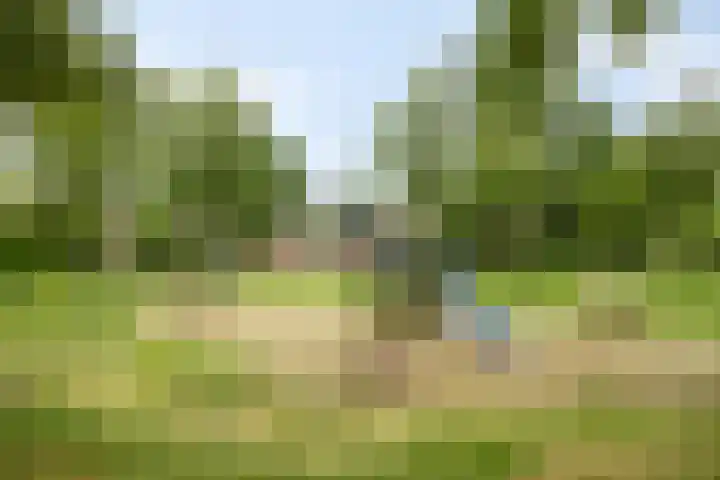 Leerinkbeek 61 Zwolle thumbnail 30