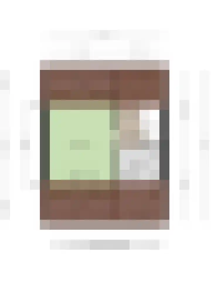 Leerinkbeek 61 Zwolle thumbnail 33