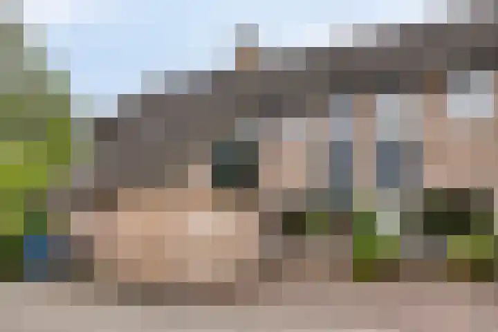 Leerinkbeek 61 Zwolle thumbnail 34
