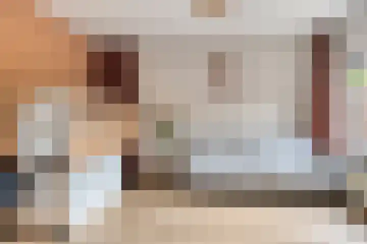 Leerinkbeek 61 Zwolle thumbnail 8