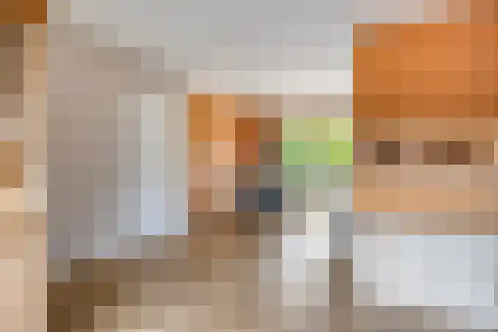 Leerinkbeek 61 Zwolle thumbnail 9