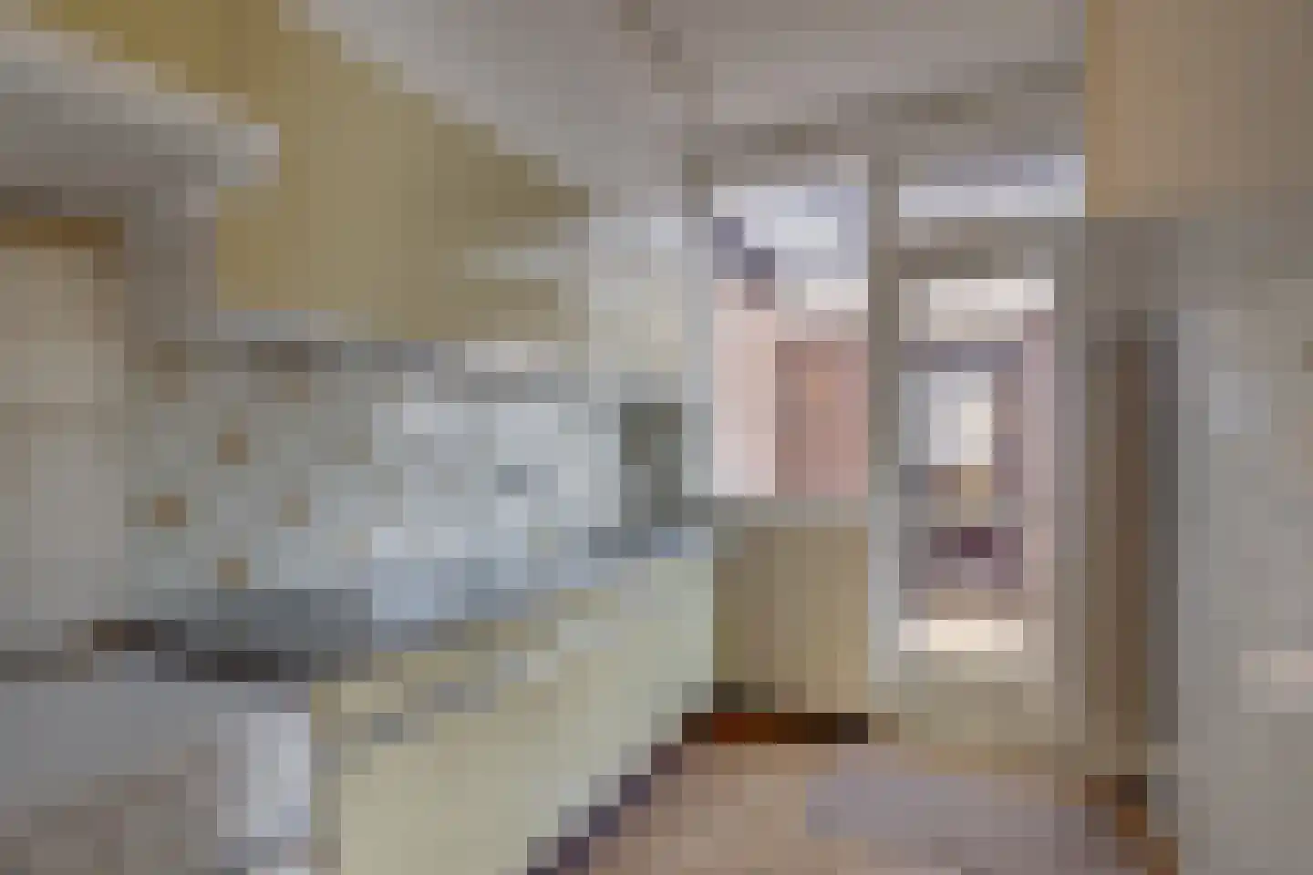 Leerinkbeekstraat 14 Borculo thumbnail 4