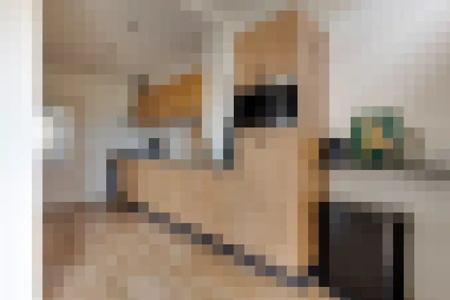 Leerinkbeekstraat 2 Borculo thumbnail 17
