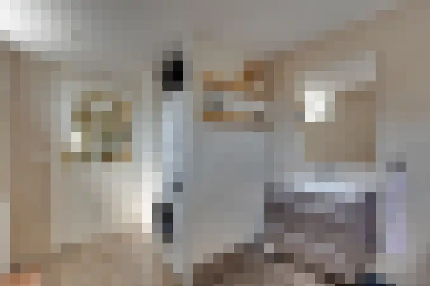Leerinkbeekstraat 2 Borculo thumbnail 23