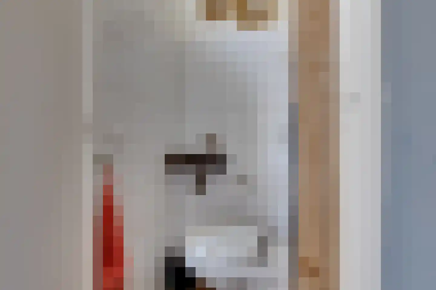 Leerinkbeekstraat 2 Borculo thumbnail 27