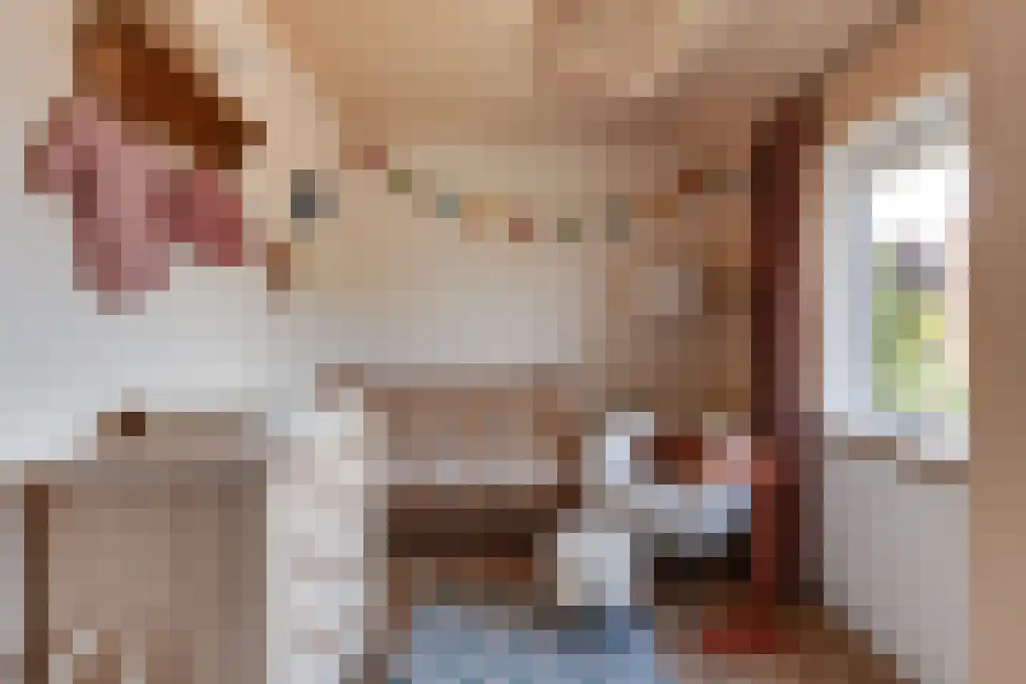 Leerinkbeekstraat 2 Borculo thumbnail 31