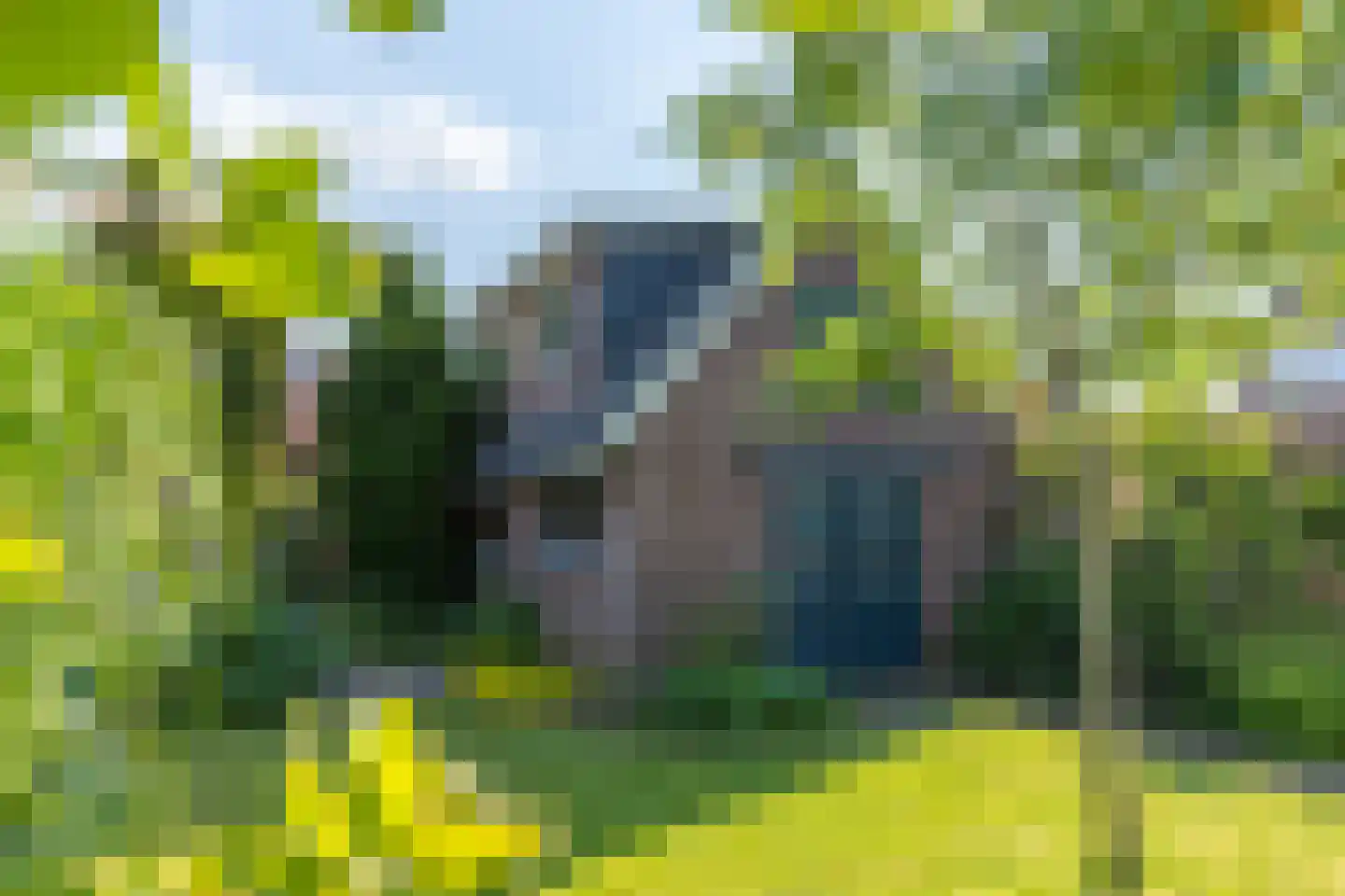 Leerinkbeekstraat 2 Borculo thumbnail 4