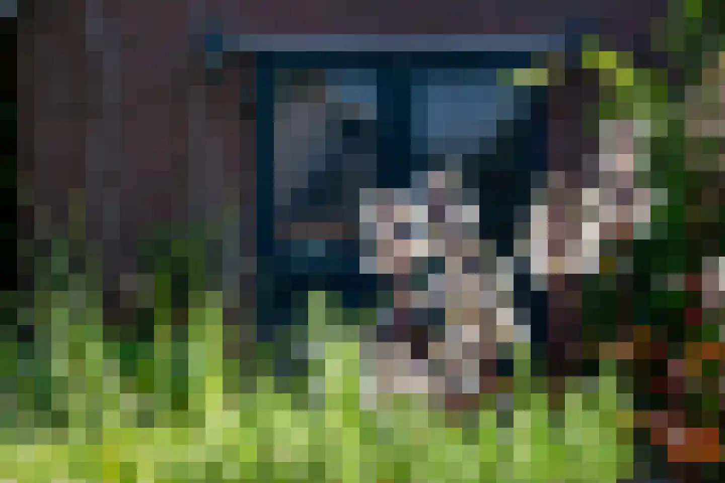 Leerinkbeekstraat 2 Borculo thumbnail 43