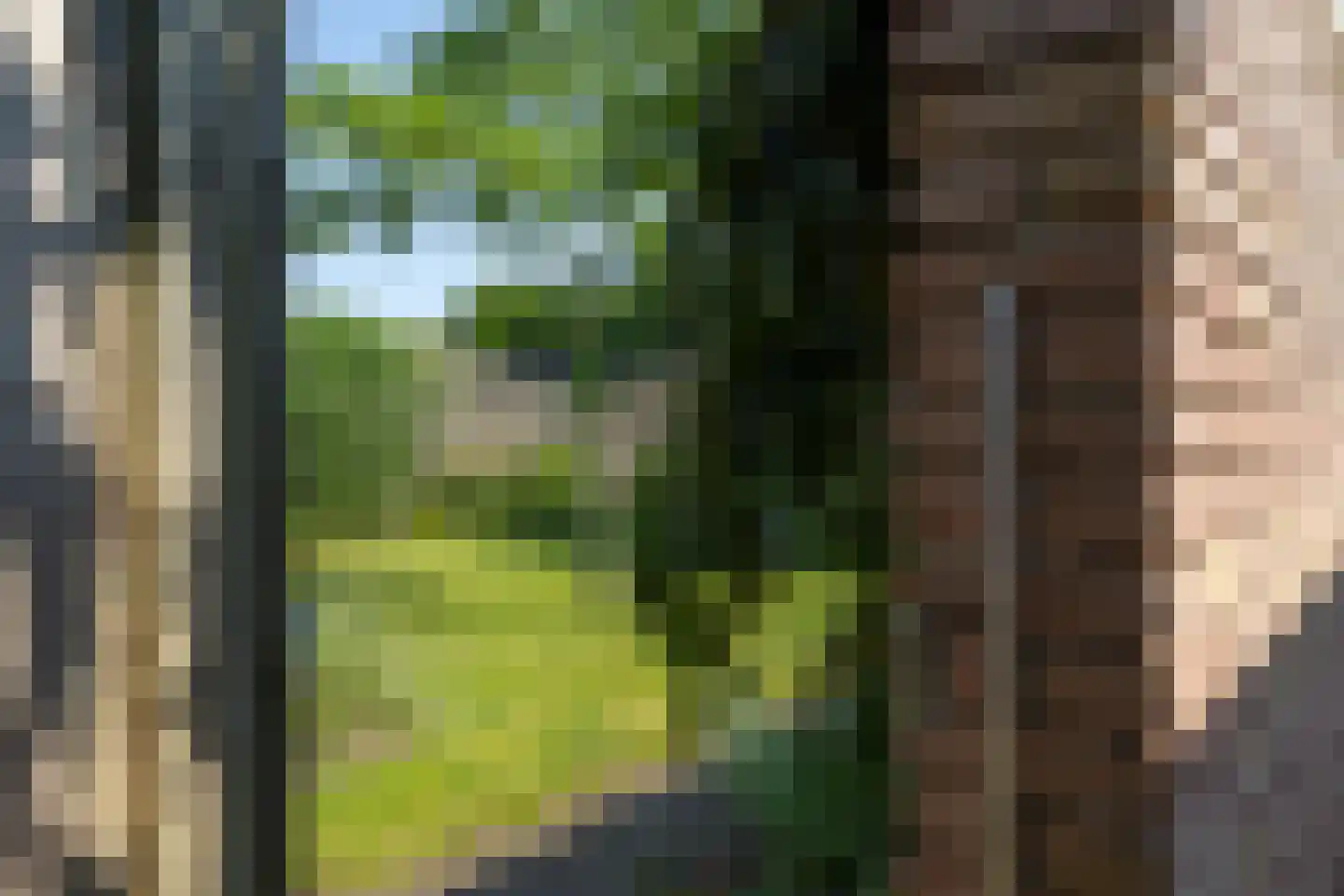 Leerinkbeekstraat 2 Borculo thumbnail 44