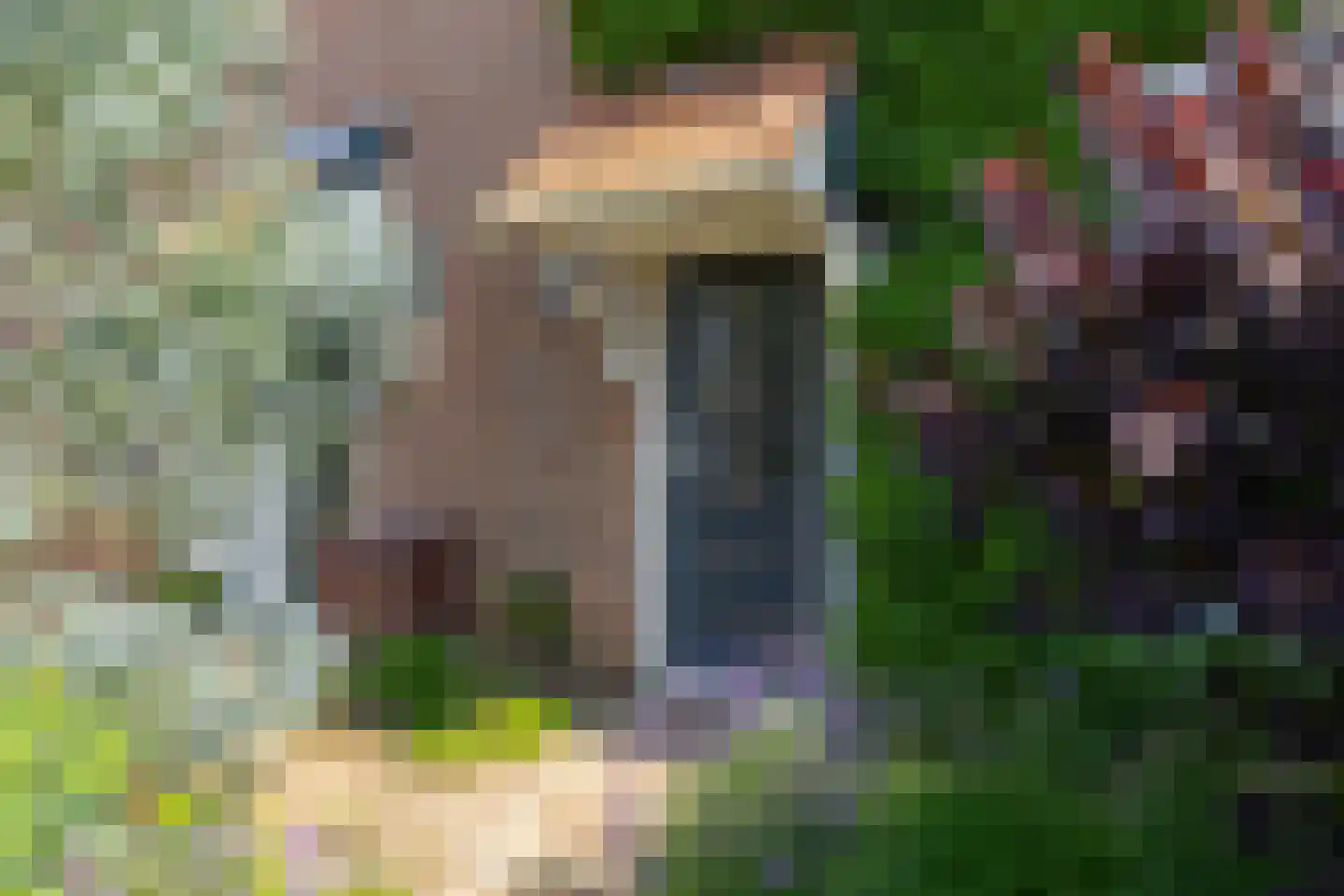 Leerinkbeekstraat 2 Borculo thumbnail 7