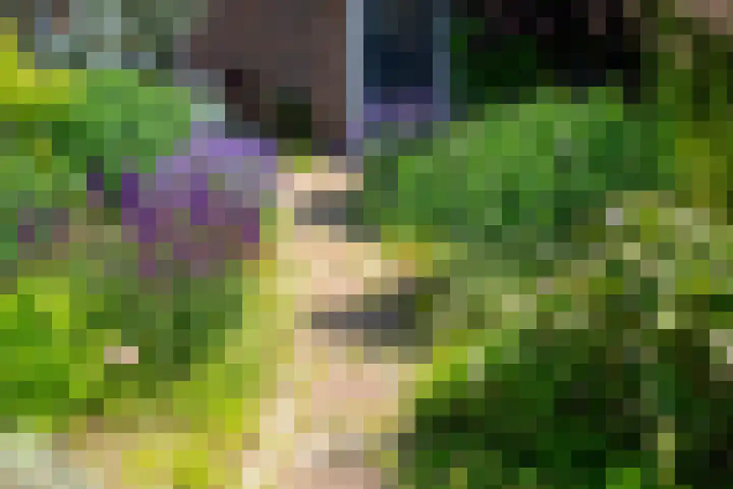 Leerinkbeekstraat 2 Borculo thumbnail 8