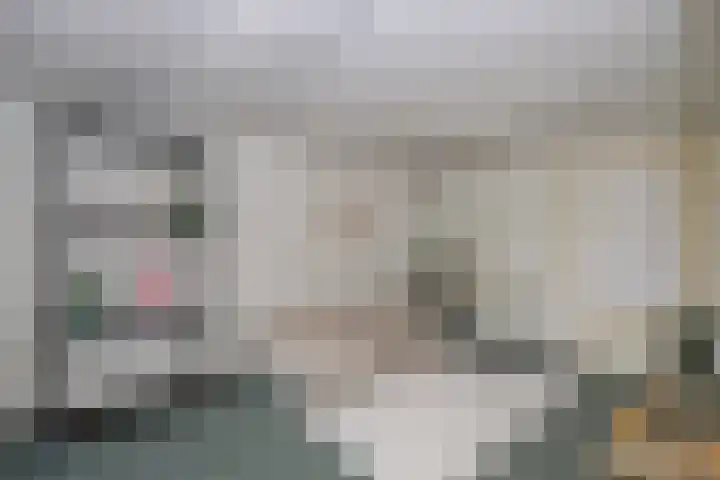 Leerlooier 1 Beuningen Gld thumbnail 14