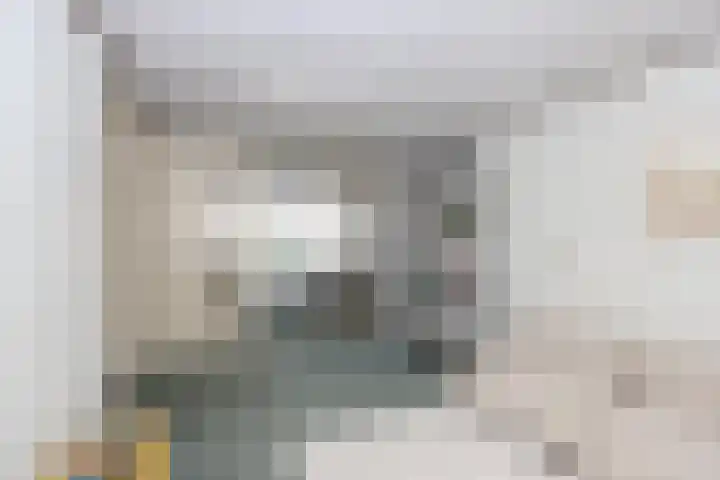 Leerlooier 1 Beuningen Gld thumbnail 15