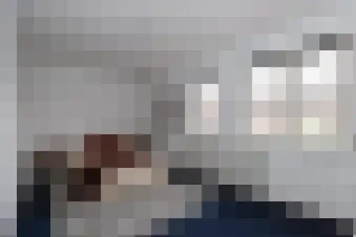 Leerlooier 1 Beuningen Gld thumbnail 19