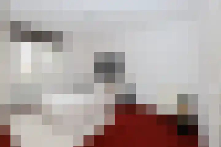Leerlooier 1 Beuningen Gld thumbnail 26