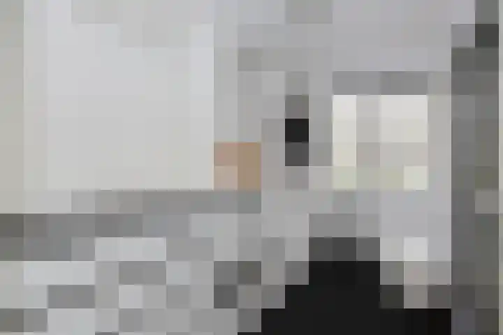 Leerlooier 1 Beuningen Gld thumbnail 30