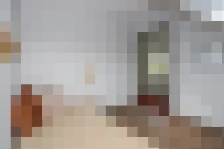 Leerlooier 1 Beuningen Gld thumbnail 37