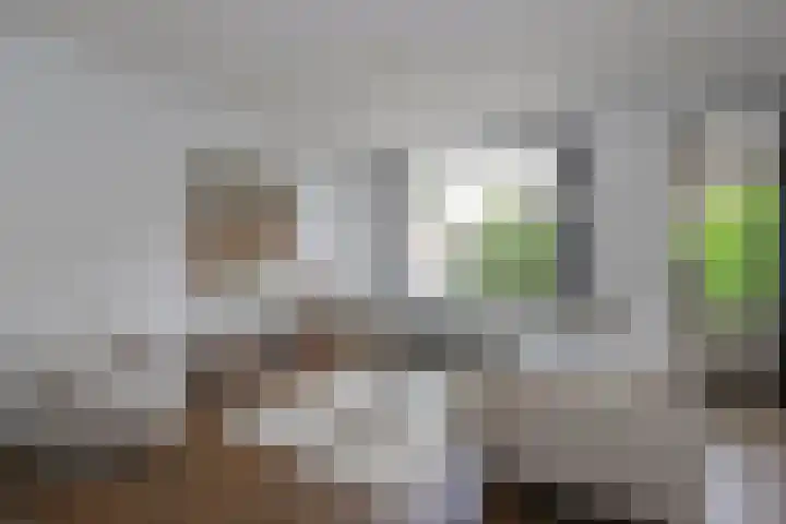 Leerlooier 1 Beuningen Gld thumbnail 4