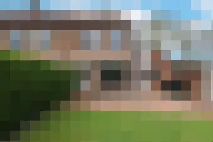 Leerlooier 1 Beuningen Gld thumbnail 40