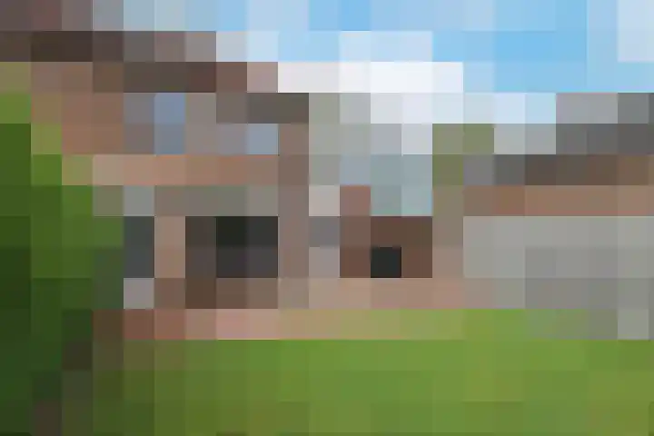 Leerlooier 1 Beuningen Gld thumbnail 41