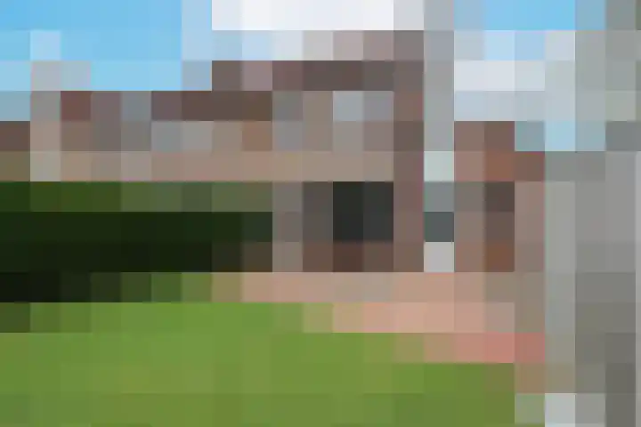 Leerlooier 1 Beuningen Gld thumbnail 42