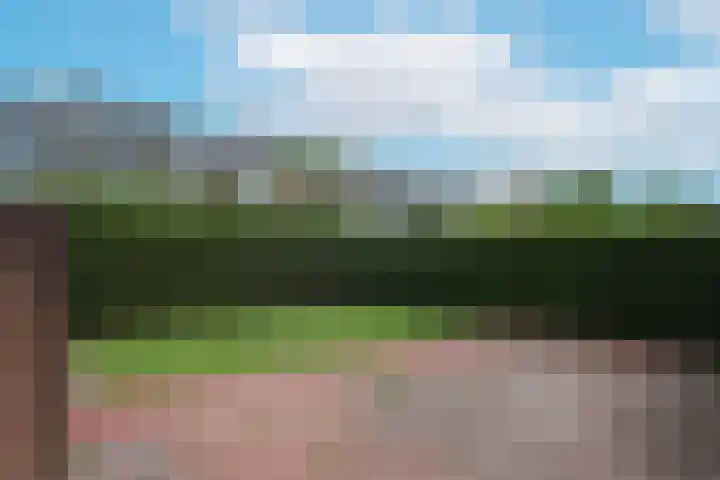 Leerlooier 1 Beuningen Gld thumbnail 43