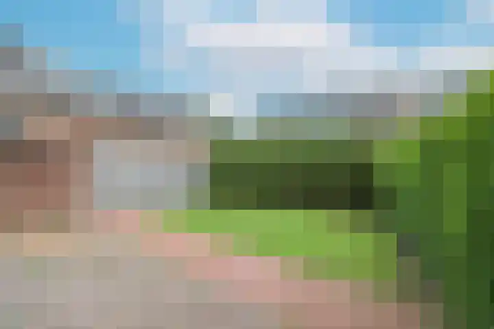 Leerlooier 1 Beuningen Gld thumbnail 44