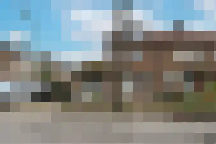 Leerlooier 1 Beuningen Gld thumbnail 45