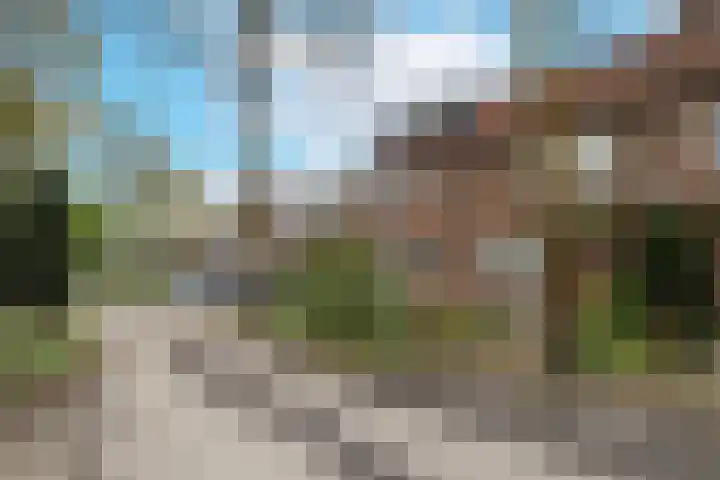 Leerlooier 1 Beuningen Gld thumbnail 47