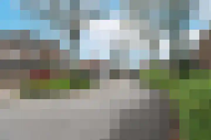Leerlooier 1 Beuningen Gld thumbnail 49