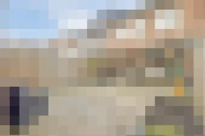 Leerlooier 24 Beuningen Gld thumbnail 24