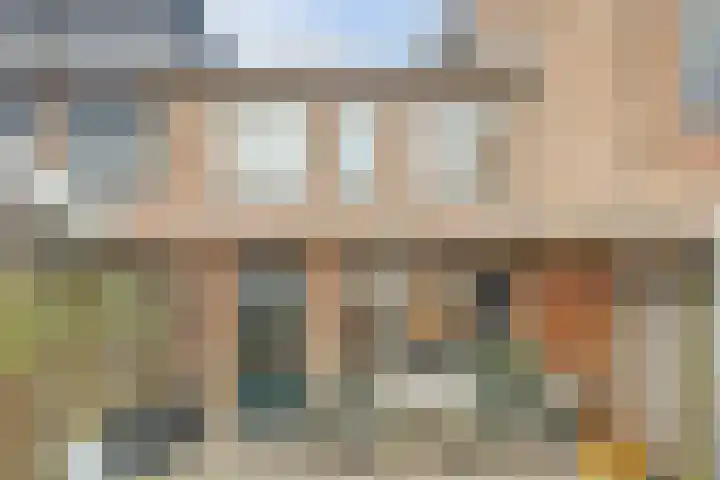 Leerlooier 24 Beuningen Gld thumbnail 25