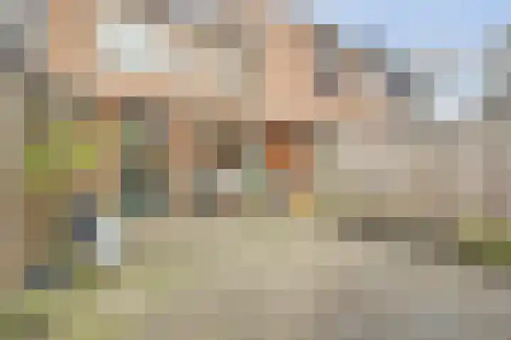 Leerlooier 24 Beuningen Gld thumbnail 28