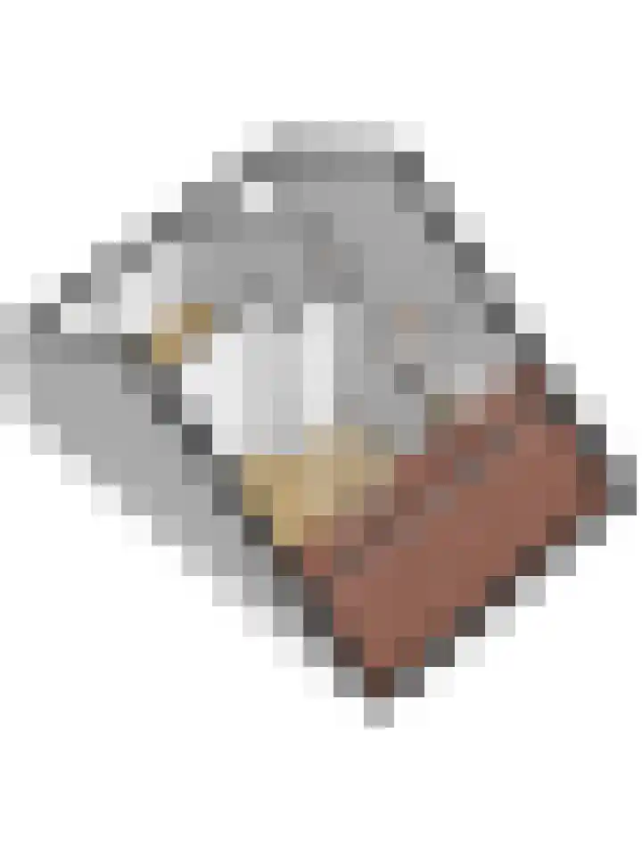 Leerlooier 24 Beuningen Gld thumbnail 35
