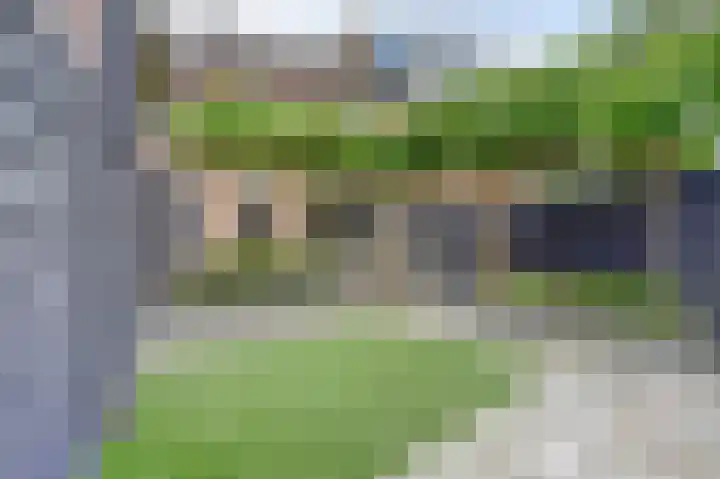Leerlooier 26 Beuningen Gld thumbnail 36
