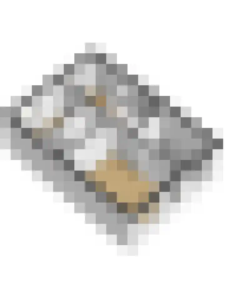 Leerlooier 26 Beuningen Gld thumbnail 46