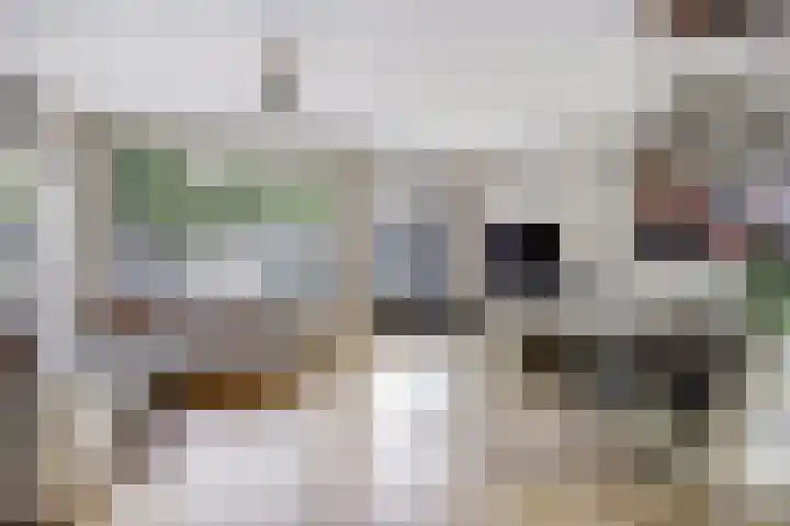 Leerlooier 26 Beuningen Gld thumbnail 6