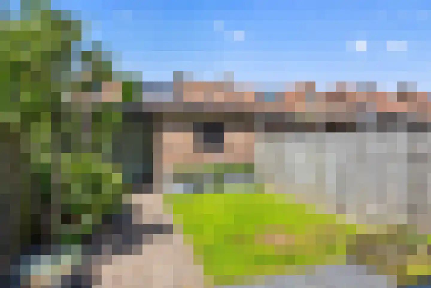 Leerlooier 8 Beuningen Gld thumbnail 11