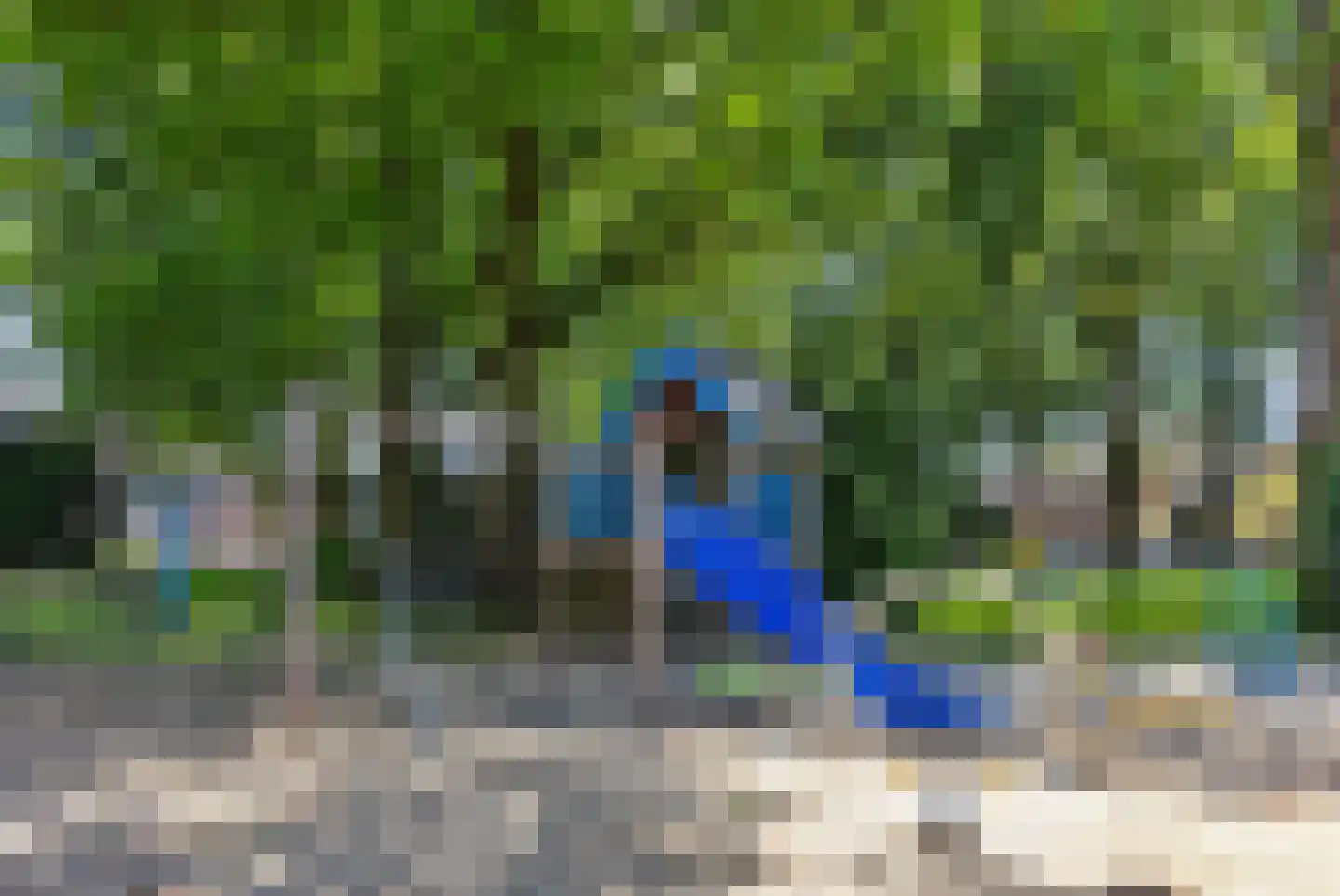 Leerlooier 8 Beuningen Gld thumbnail 33