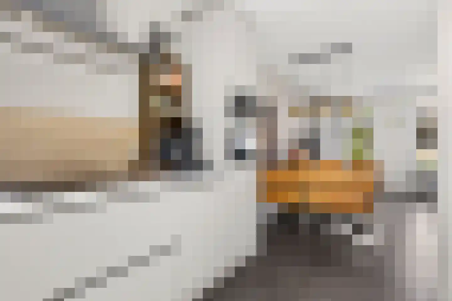 Leerlooier 8 Beuningen Gld thumbnail 8