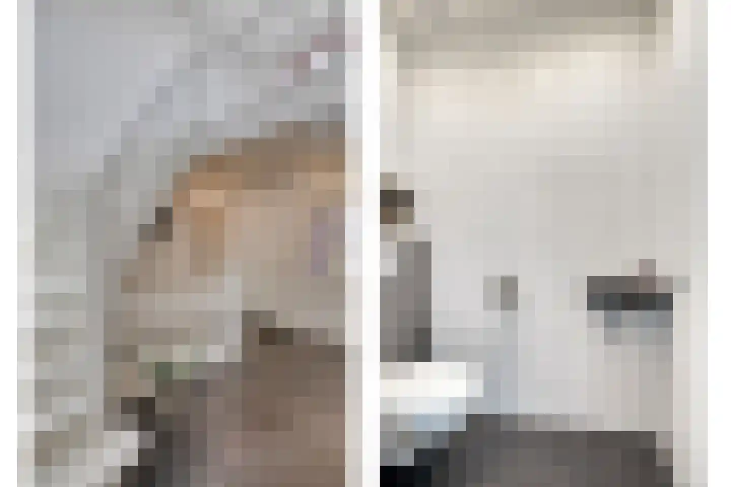 Leerlooierij 9 Steenbergen thumbnail 10