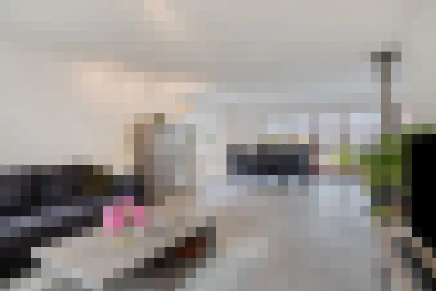 Leerlooierij 9 Steenbergen thumbnail 13