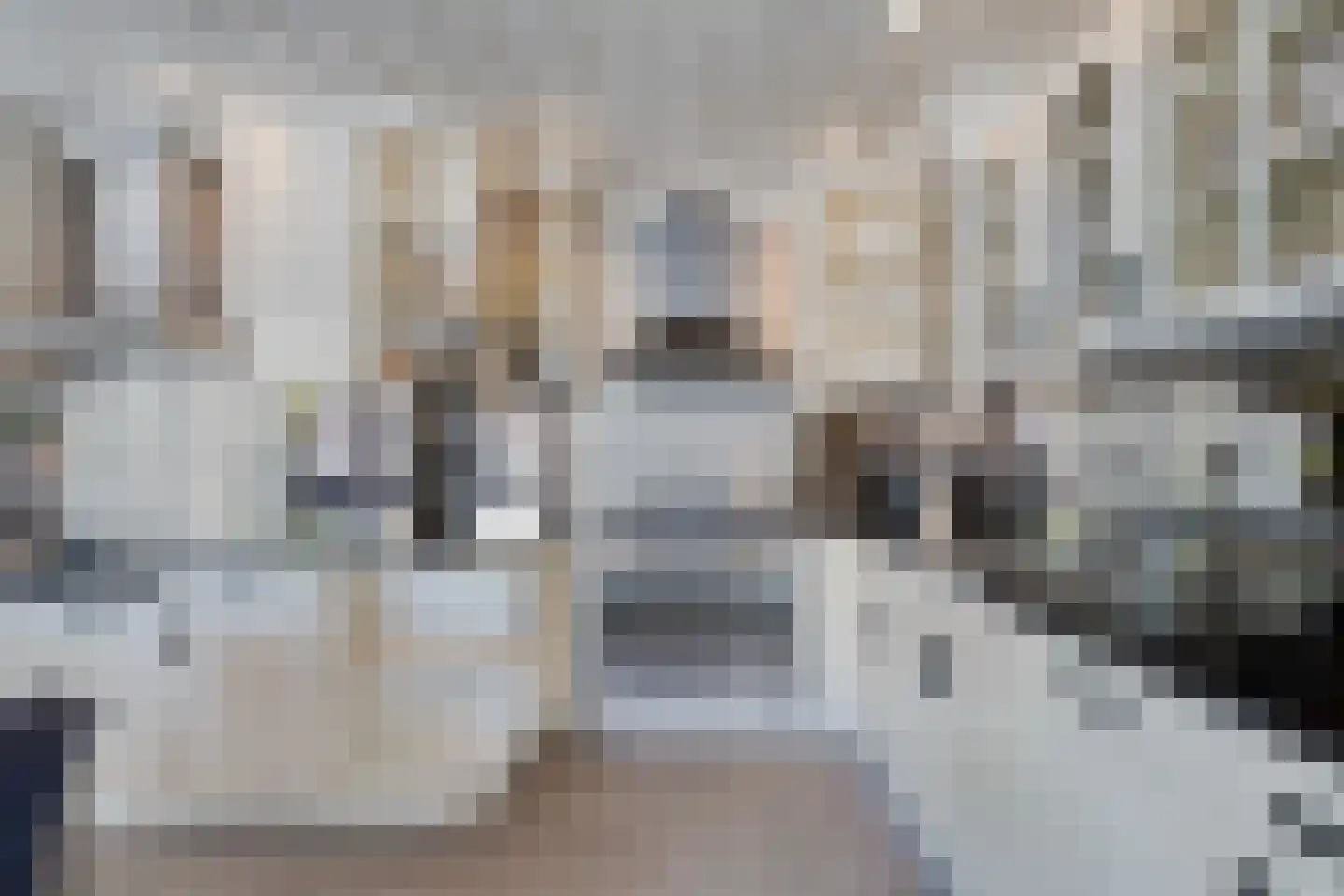 Leerlooierij 9 Steenbergen thumbnail 26