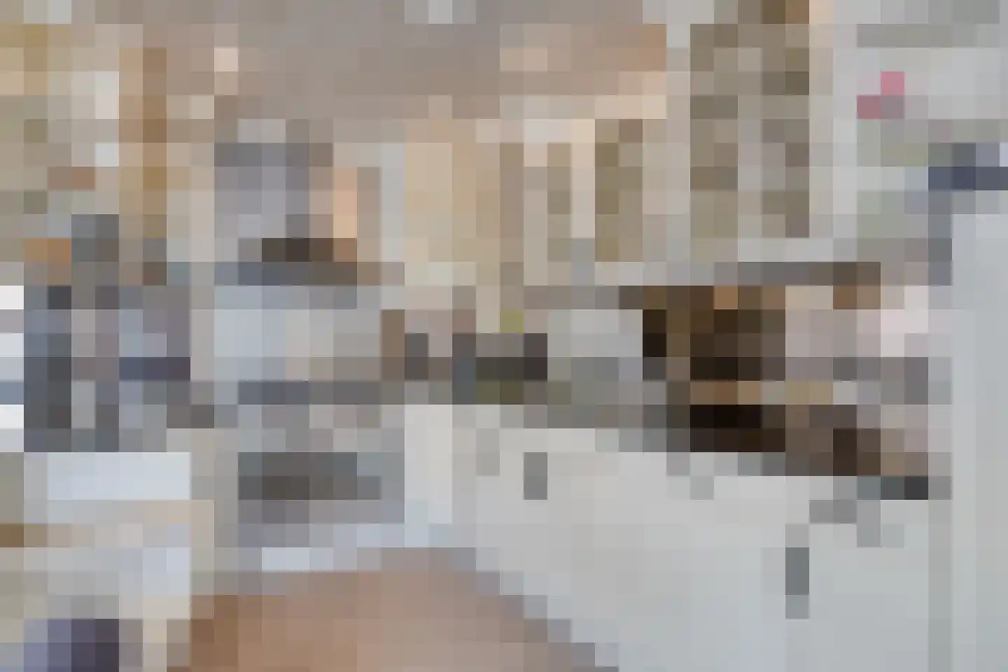 Leerlooierij 9 Steenbergen thumbnail 27
