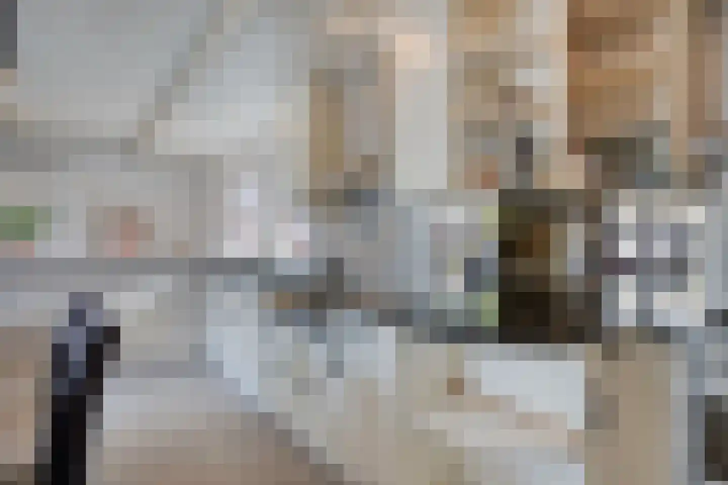 Leerlooierij 9 Steenbergen thumbnail 28