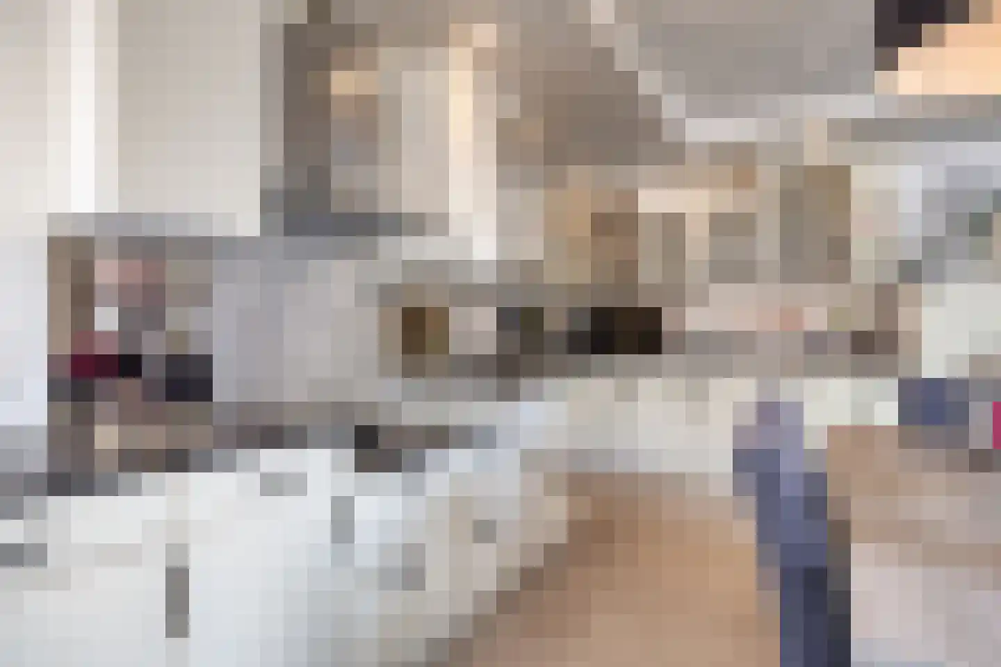 Leerlooierij 9 Steenbergen thumbnail 29