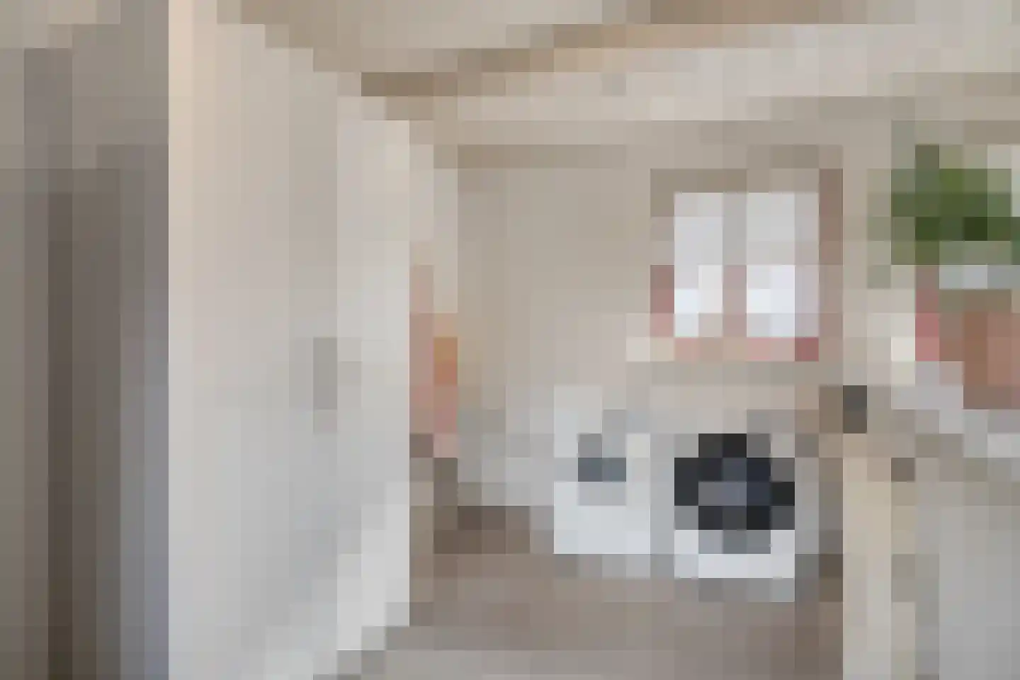 Leerlooierij 9 Steenbergen thumbnail 31